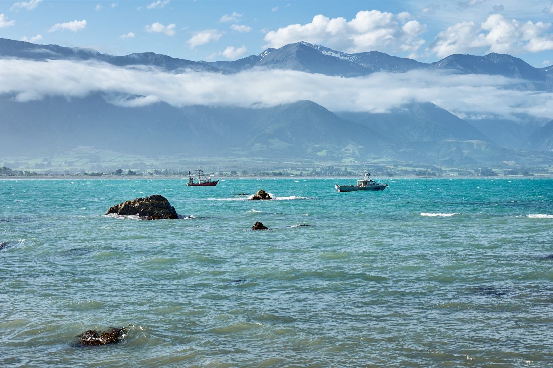 Kaikoura_L1020635.jpg