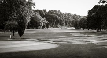 MississaugaGCC-0028.jpg MississaugaGCC-0028.jpg