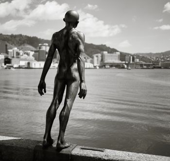 Wellington_L1010454-BW.jpg