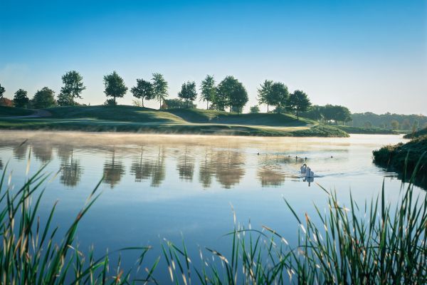 Golf Course - Colour